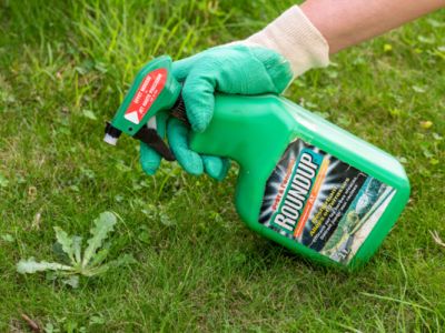 Jardinage : 5 alternatives au glyphosate pour désherber
