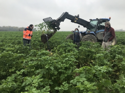 New Letter de l'ORQUE : Inf'EAU n°1 janvier 2021