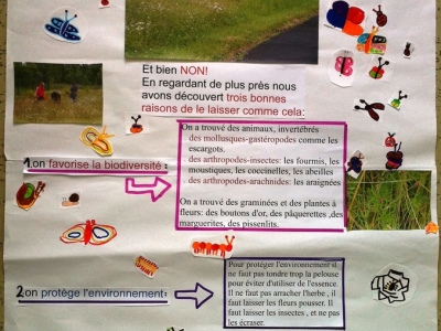 Intervention avec l'école de Caix : Réalisation d'un panneau pour les sites du SIEP